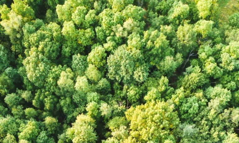 Gadot Belgium reports strong CO₂ reduction progress
