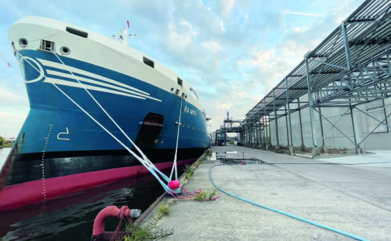 Capabilities not everyone can offer